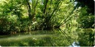 Office de Tourisme Sarlat, tourisme en Dordogne, tourisme en P�rigord, g�tes pr�s de Sarlat, camping autour de Sarlat